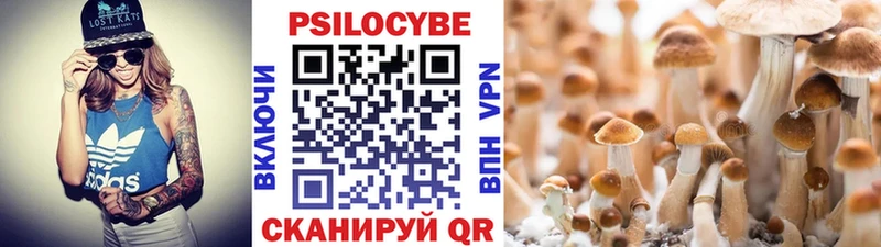 Галлюциногенные грибы MAGIC MUSHROOMS  Черемхово 