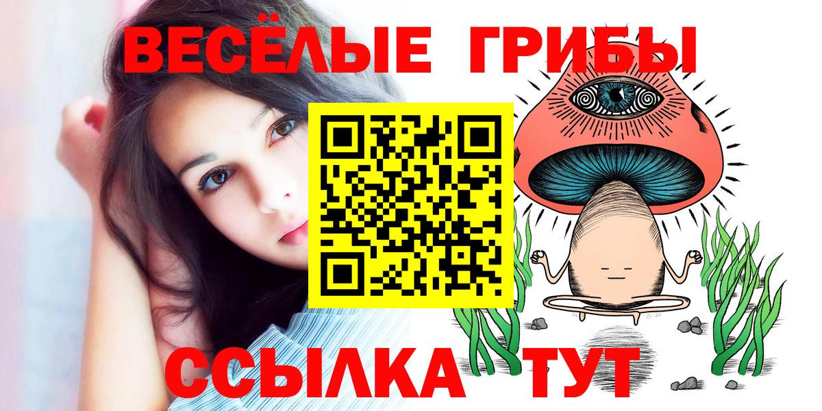 Черемхово  Псилоцибиновые грибы Cubensis  Галлюциногенные грибы мухоморы  Вход с VPN 